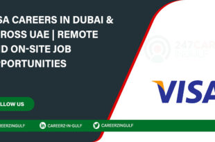 Visa Careers