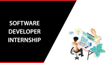 Software Developer Internship