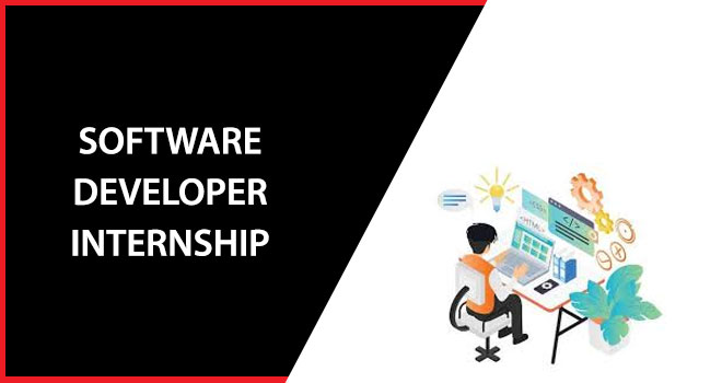 Software Developer Internship
